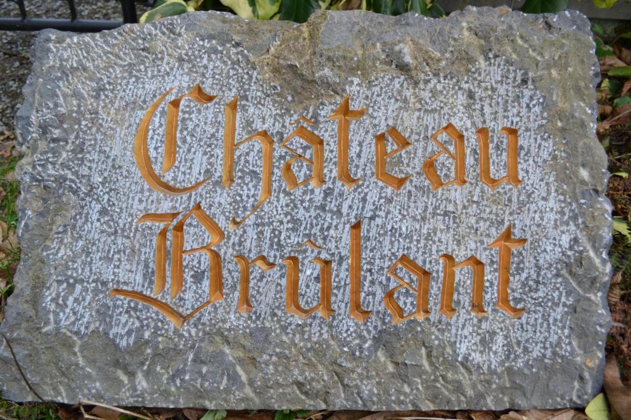 Chateau Brulant Somme-Leuze Bagian luar foto